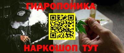 молекула духа Жуковский