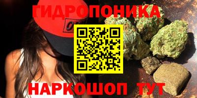 молекула духа Жуковский