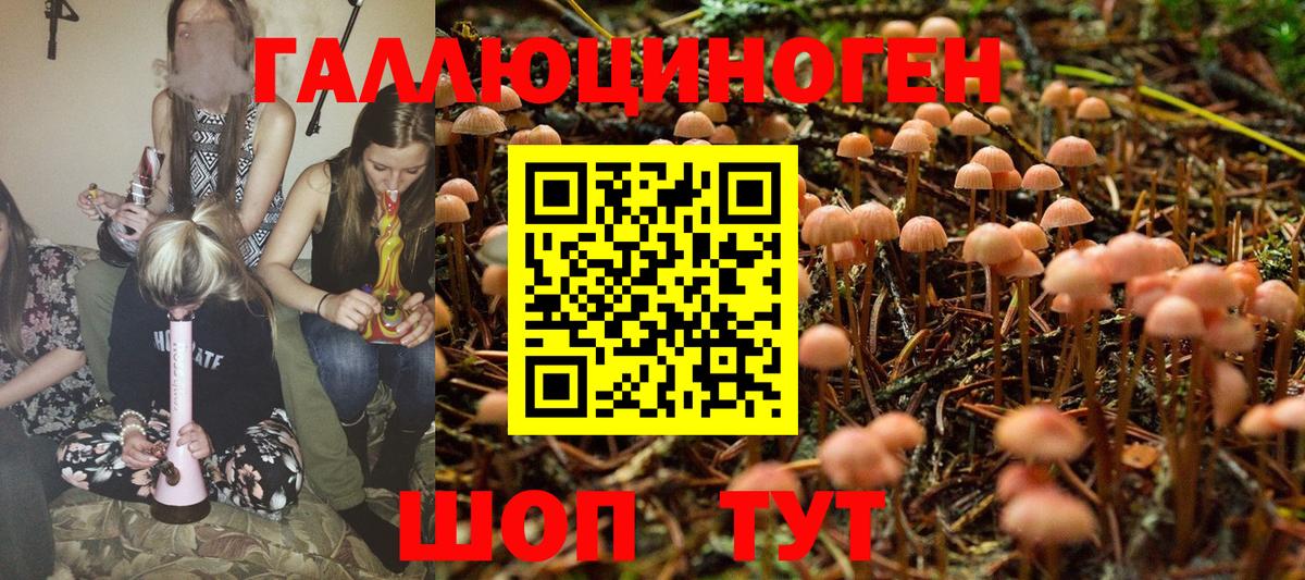 Псилоцибиновые грибы Magic Shrooms  Вход с VPN  Карабулак 